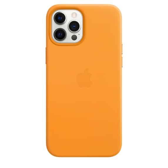 Coque cuir MagSafe iPhone 12 Pro max Pavot Californie itsu maroc