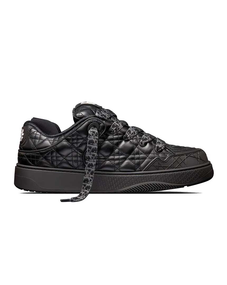dior b9s skater erl black quilted cannage calfskin 1